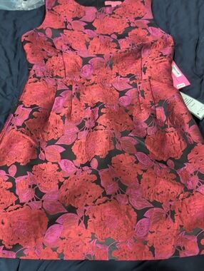 Betsey Johnson Red & Pink Floral Mini Dress